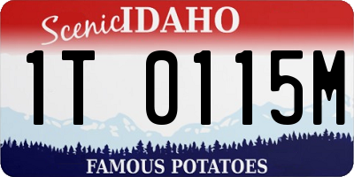 ID license plate 1T0115M