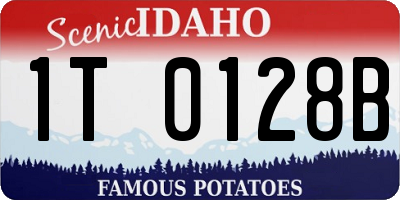 ID license plate 1T0128B