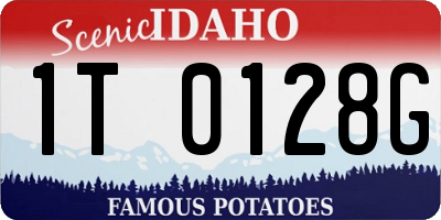ID license plate 1T0128G