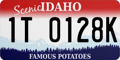 ID license plate 1T0128K