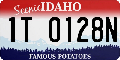 ID license plate 1T0128N