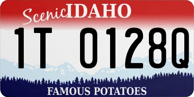 ID license plate 1T0128Q
