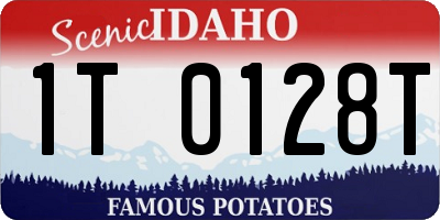 ID license plate 1T0128T