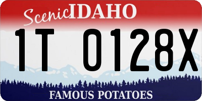 ID license plate 1T0128X