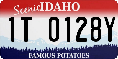 ID license plate 1T0128Y