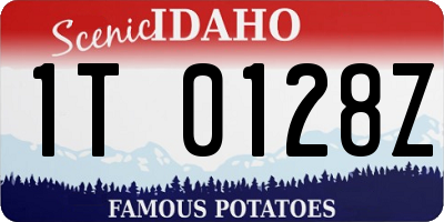ID license plate 1T0128Z