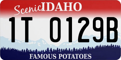 ID license plate 1T0129B
