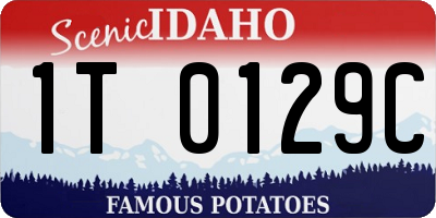 ID license plate 1T0129C