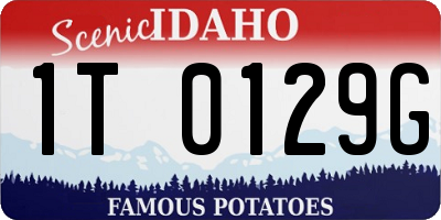 ID license plate 1T0129G