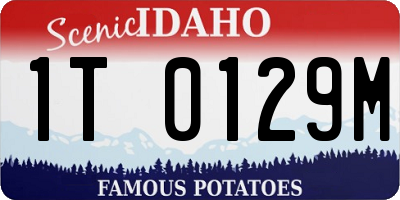 ID license plate 1T0129M