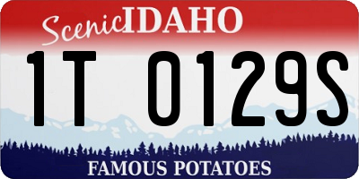 ID license plate 1T0129S