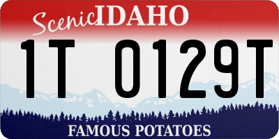 ID license plate 1T0129T