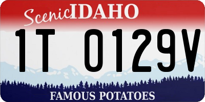 ID license plate 1T0129V