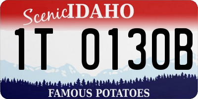 ID license plate 1T0130B