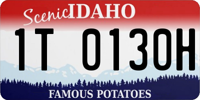 ID license plate 1T0130H