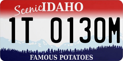 ID license plate 1T0130M