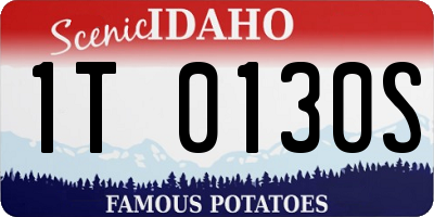 ID license plate 1T0130S