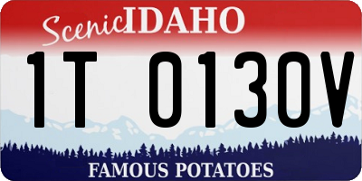 ID license plate 1T0130V