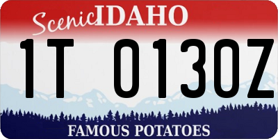 ID license plate 1T0130Z