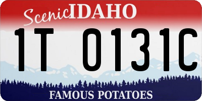 ID license plate 1T0131C