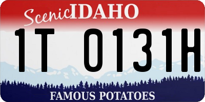 ID license plate 1T0131H