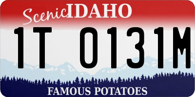 ID license plate 1T0131M