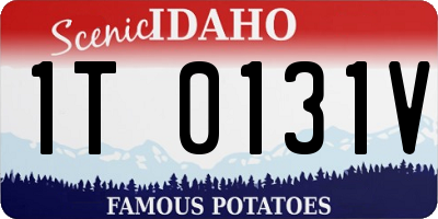 ID license plate 1T0131V
