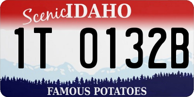 ID license plate 1T0132B