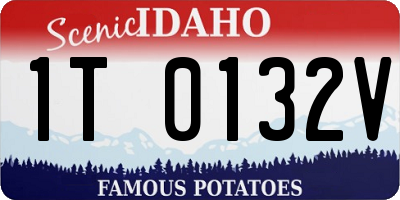 ID license plate 1T0132V