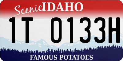 ID license plate 1T0133H