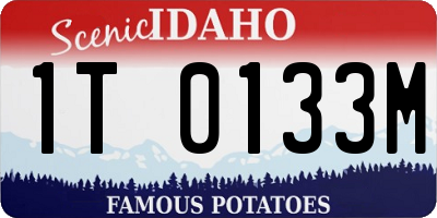 ID license plate 1T0133M