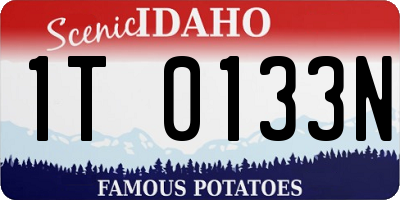 ID license plate 1T0133N