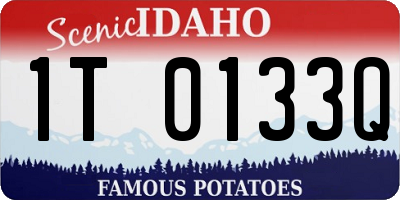 ID license plate 1T0133Q