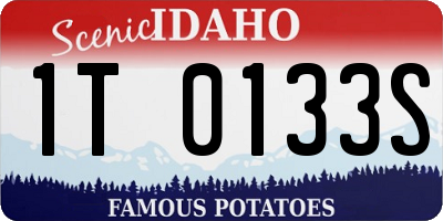 ID license plate 1T0133S
