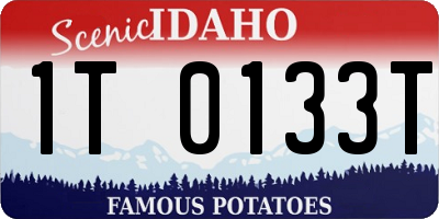 ID license plate 1T0133T
