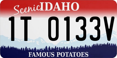 ID license plate 1T0133V