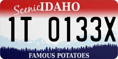 ID license plate 1T0133X