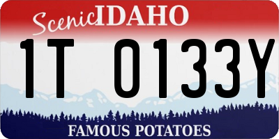 ID license plate 1T0133Y