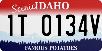 ID license plate 1T0134V