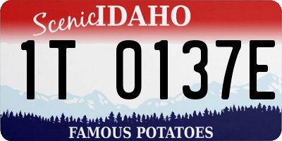 ID license plate 1T0137E