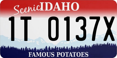ID license plate 1T0137X