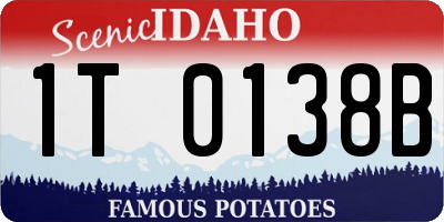 ID license plate 1T0138B