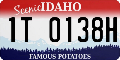 ID license plate 1T0138H