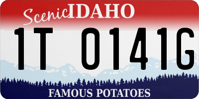 ID license plate 1T0141G