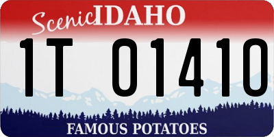 ID license plate 1T0141O