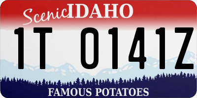 ID license plate 1T0141Z