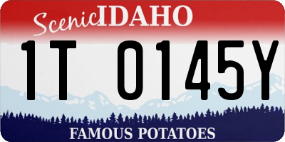 ID license plate 1T0145Y