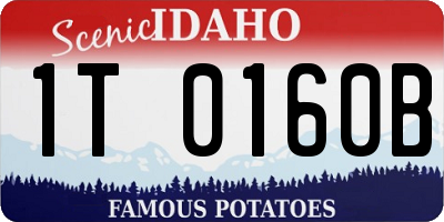 ID license plate 1T0160B