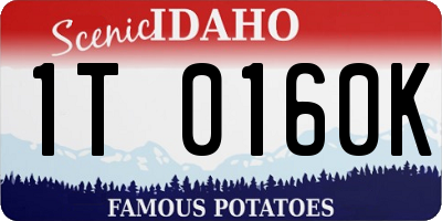 ID license plate 1T0160K