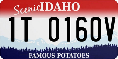 ID license plate 1T0160V